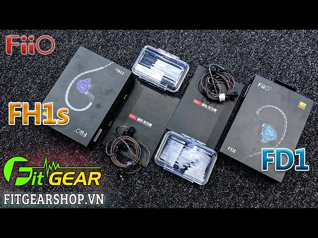 FiiO FH1s - FiiO FD1 | SO SÁNH 2 chiếc tai nghe Hot nhất hiện tại