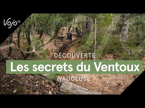 Découverte | Vaucluse : les secrets du Mont Ventoux