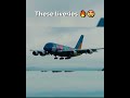 These special liveries🤩 #airplane #plane #aviation #aeroplane #roblox #b787 #aircraft #ptfs #a380