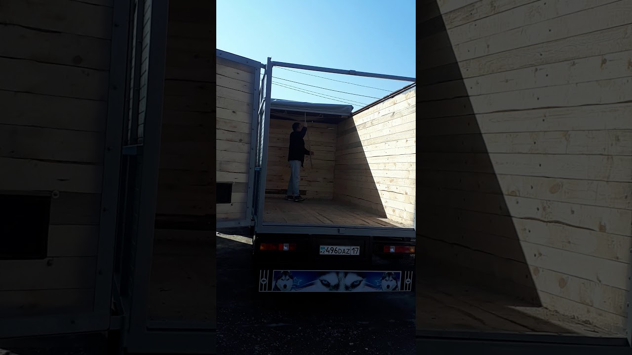 Месть газели видео