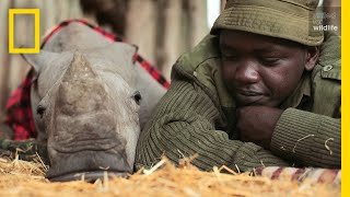 Meet the Heroes Who Protect the Last Northern White Rhinos in the World | Short Film Showcase