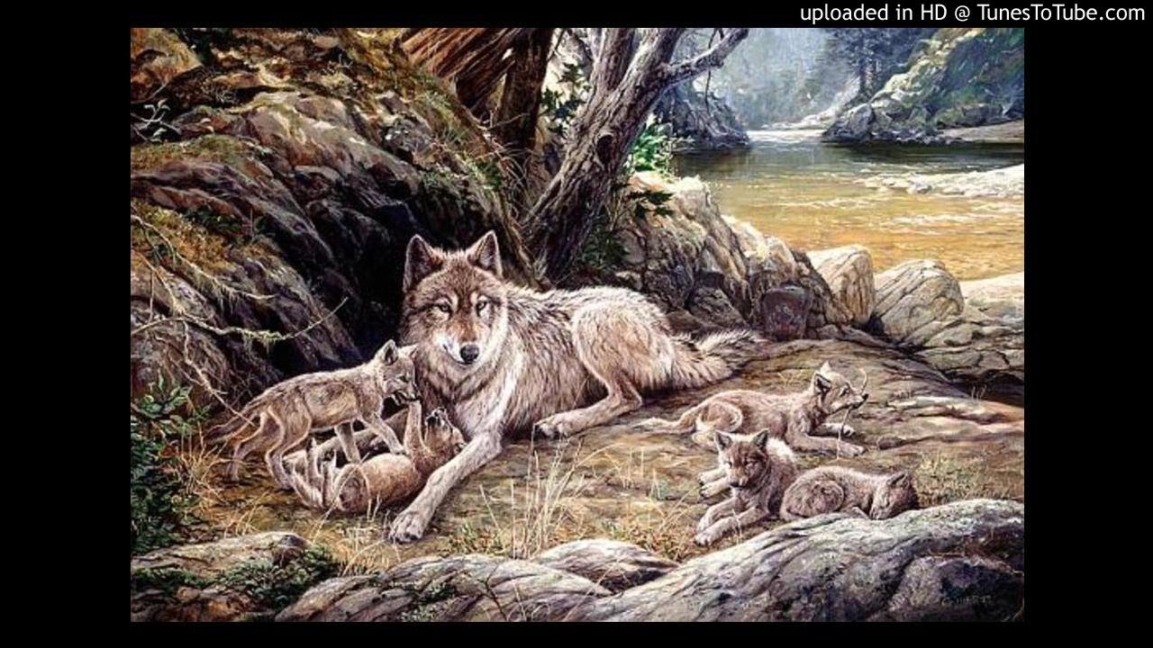 Зохиолч Д.Намдаг - Хөгшин чоно ульсан нь(1-р хэсэг)