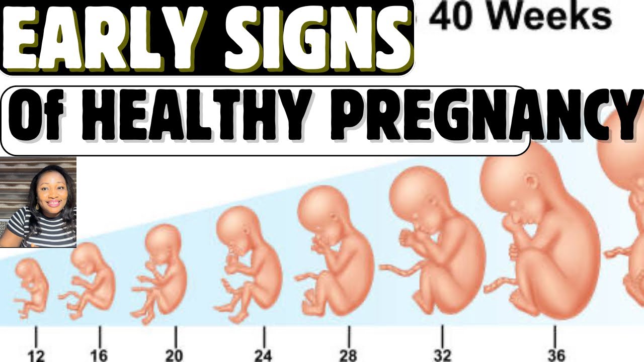 15 Signs Your Pregnancy Is Going Well From The First Trimester | Early ...