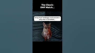 The Classic SWF Match...