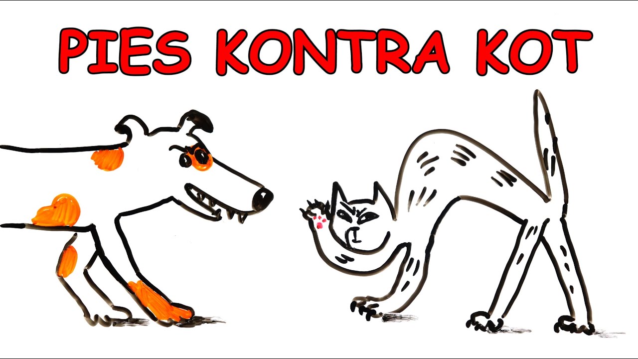 Dlaczego psy i koty się nie lubią?