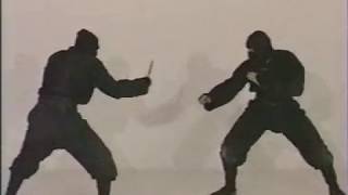 Ninjutsu KOGA RYU Weapons