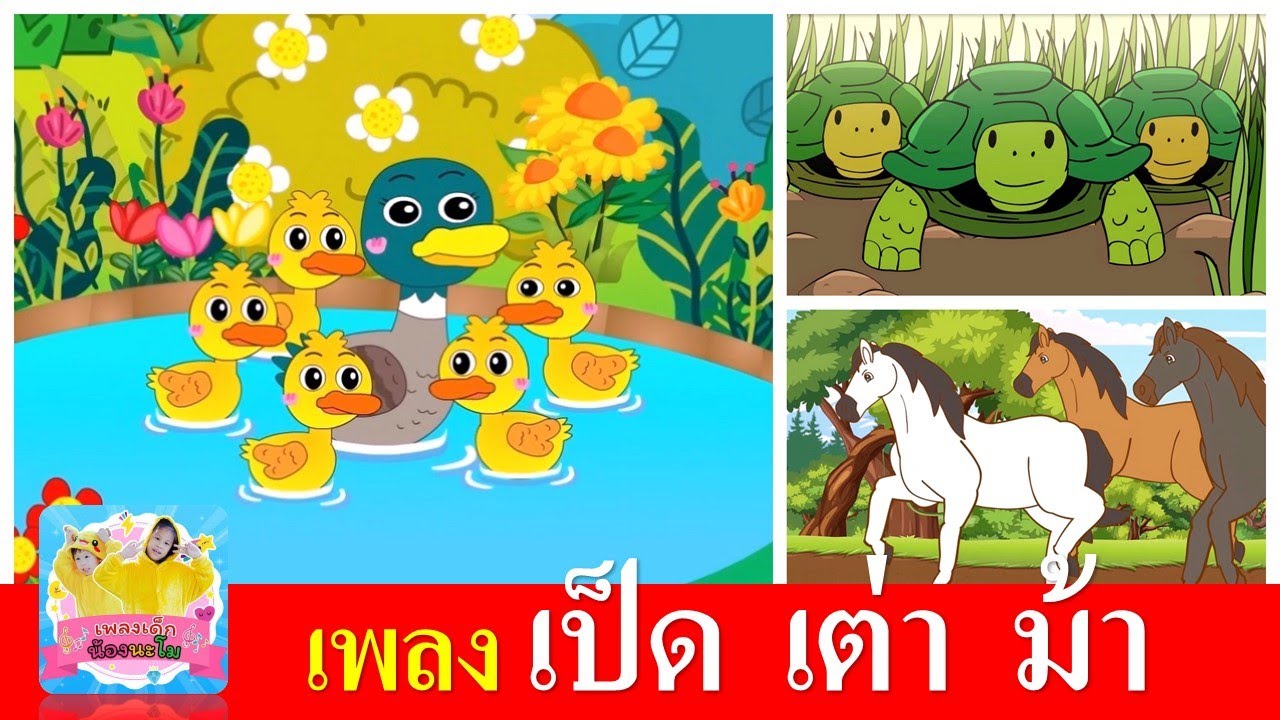 เพลงเด็ก เป็ด เต่า ม้า | เป็ดอาบน้ำในคลอง | เต่าเอ๋ยเต่า | ม้าวิ่งกรับกรับ