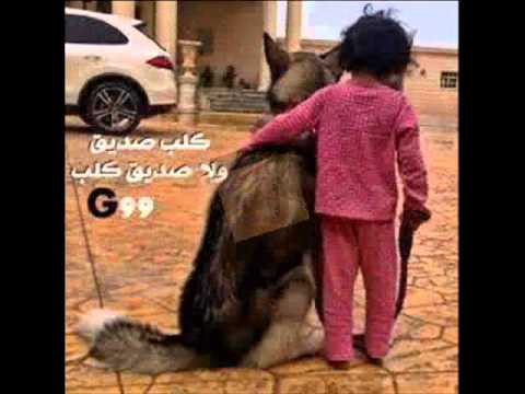 عبد الحر حمد