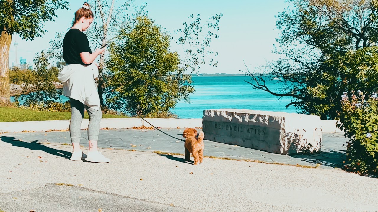 Living in Toronto | Sunset view at Polson Pier, Chilling at Humber Bay Park