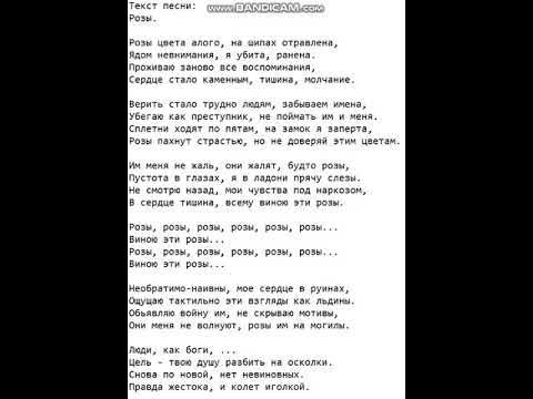 Песни роза фото