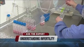 Ask the Expert
