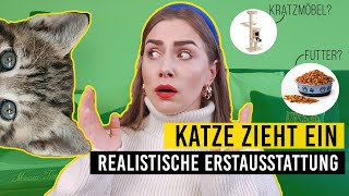 Eine Katze zieht ein / realistische Erstausstattung für Katzen / Katzentipps / Amely Rose