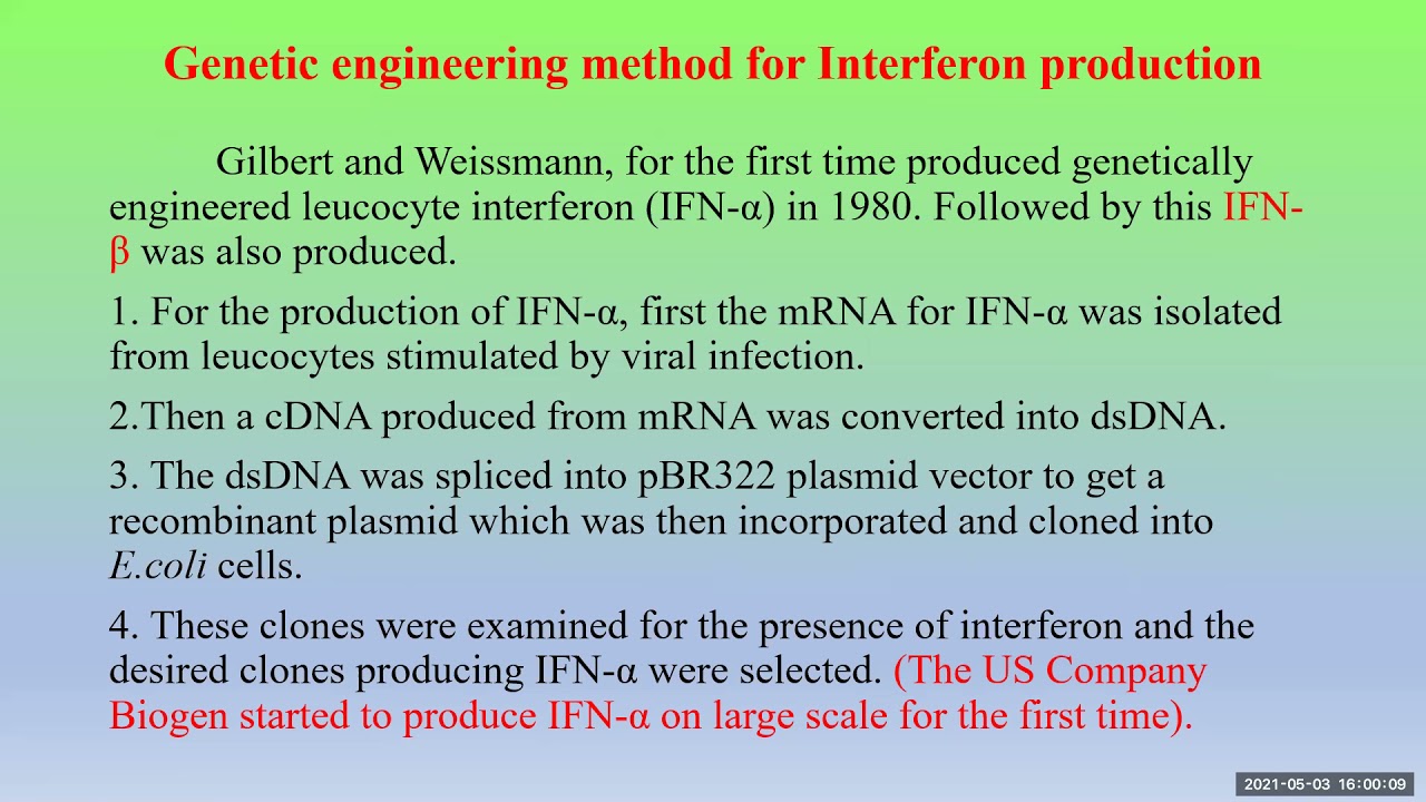Production of Interferon by rDNA Technology - YouTube
