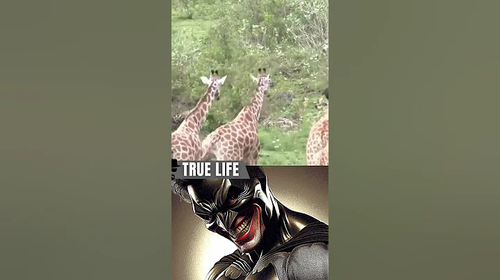 Real life hero #shorts #memes #starman #animals #wholesome #kindness #viralvideo #giraffe