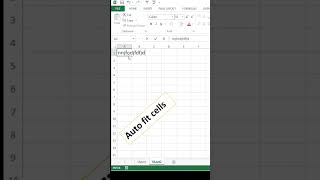 automatic adjust cell column width length | excel screenshot 4