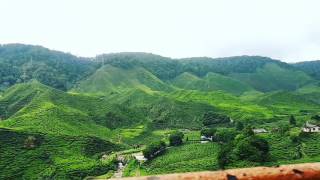 Cameron Highlands | Time lapse Cameron Valley | DJI Osmo Mobile | Malaysia screenshot 4