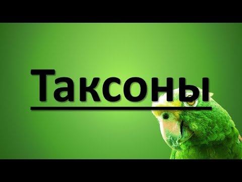 Классификация и систематика растений и животных. Таксоны.