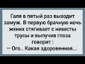 У Невесты Здоровенная! Сборник Свежих Анекдотов! Юмор!