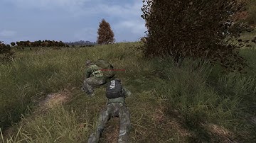 Salty n3rds ddos Bwaf - DayZ