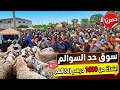 صدمة في سوق حد السوالم الخروف ابتداء من 1600 درهم 32 ألف والأجواء مشعلة ارتفاع صاروخي 