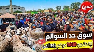 ​صدمة في سوق حد السوالم! 😱 الخروف ابتداءً من 1600 درهم (32 ألف) والأجواء مشعلة! 🔥ارتفاع صاروخي