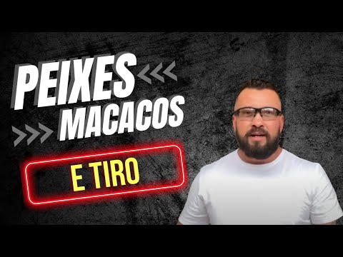 Peixes, macacos e tiro