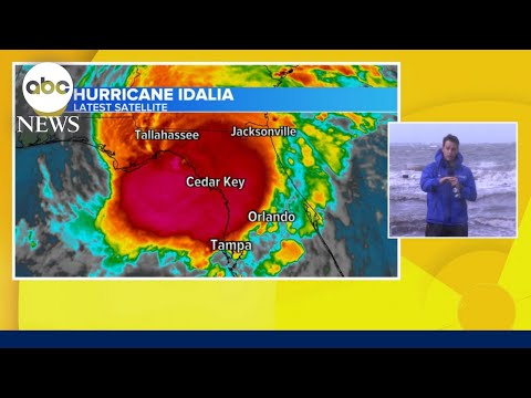 Idalia makes landfall in Florida l GMA