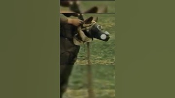 Freedom of bark in soviet union. #sovietjokes #sovietstories #reaganjokes #ussr #soviets