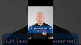 ЦИ (жизненная энергия) и ее уровни
