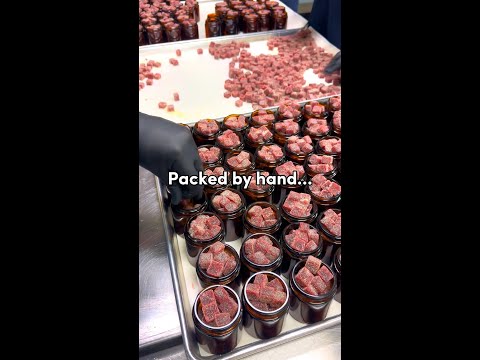 I Ate 1000mg Of Delta Munchies Gummies