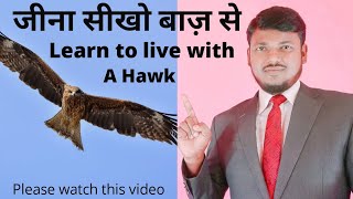 जीना सीखो बाज़ से | Learn to live with a hawk | Motivation Hindi