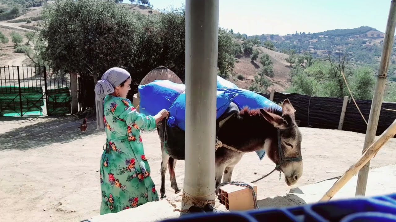 فيديو جديد شاركت معكم