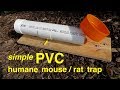 How to make  ● a simple PVC HUMANE RAT/MOUSE TRAP