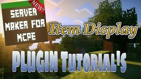 Item Display - Server Maker For MCPE
