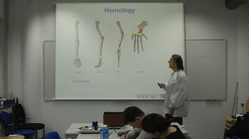 Protein Prediction 2 for Computer Scientists – Lecture 7, Protein Interactions – Sites