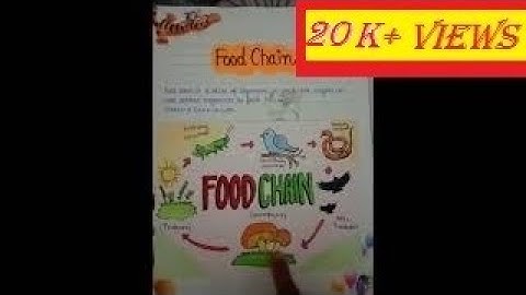 Science Project Class 10th  Topic : Our Environment   #ourenvironmentscienceprojectclass10