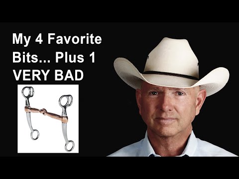 My 4 Favorite Curb Bits… Plus 1 That’s VERY BAD For Your Horse!