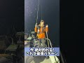 イカメタル 今絶対釣れる釣り方2026