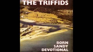 The Triffids - Life of Crime [HD]