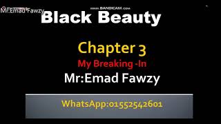 Black Beauty Chapter 3