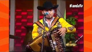 Los Titanes de Durango - El Prostipirugolfo