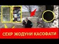 СЕХР ЖОДУ ПАЙДО БУЛИШИ НУРИДДИН ХОЖИ МАРУЗАСИ АЛБАТТА КУРИНГ