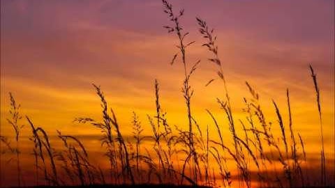 الشيخ علاء المزجاجي - آخر سوره التحريم