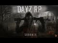 #2 Румын 📺DAYZ STALKER RP📺| Era-RP