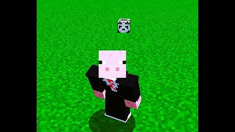 How to get a custom head in minecraft java edition 1.16.0 to 1.20.1