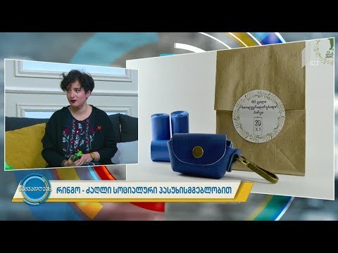 #ნაშუადღევს რინგო - ძაღლი სოციალური პასუხისმგებლობით