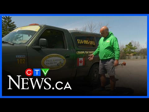 Canada Flag On Display Free Mown Lawn On Montreal S West Island 