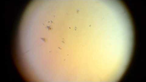 Earth Optics: Uniaxial Minerals V4Q6