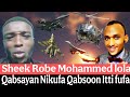 Sheeka Roobee Mohammed Lola Cimaa Eegaluu Qabsayan Nikufa Qabsoon Itti Fufa Sheeka Roobee Mohammed Lola Cimaa Eegaluu Qabsayan Nikufa Qabsoon Itti Fufa