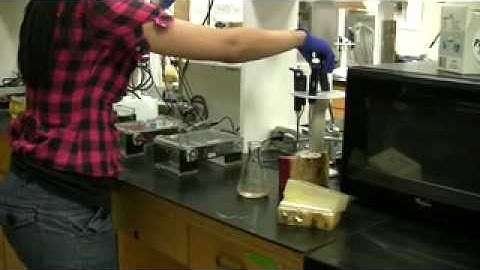 Part 2. A day in the life of RedToL NSF REU biology student Shana Callais